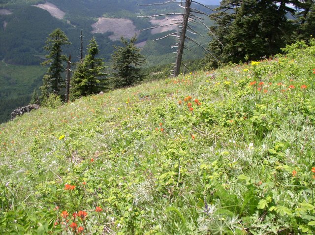 6.10.06 Table Mtn_3CR 127 